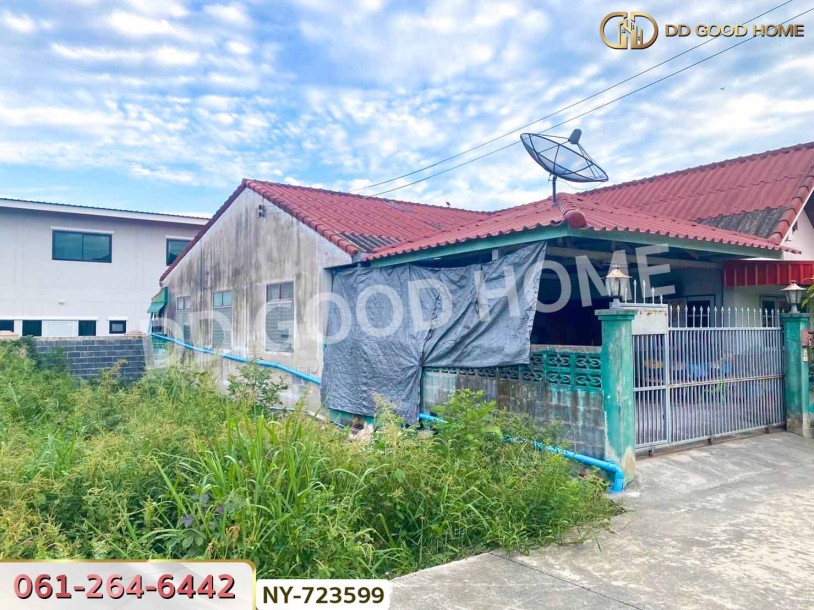 ที่ดินเมืองชลบุรี 50 ตร.ว. ใกล้ตลาดนินจา อมตะ-4