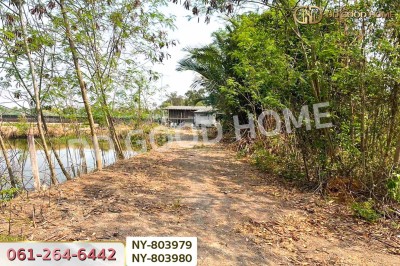 ที่ดินบ้านใหม่ 9 ไร่ 381 ตร.ว. ฉะเชิงเทรา ใกล้วัดป่าอนันตชัย
