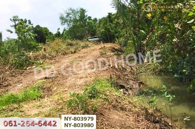 ที่ดินบ้านใหม่ 9 ไร่ 381 ตร.ว. ฉะเชิงเทรา ใกล้วัดป่าอนันตชัย