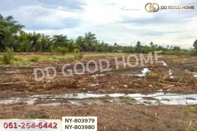 ที่ดินบ้านใหม่ 9 ไร่ 381 ตร.ว. ฉะเชิงเทรา ใกล้วัดป่าอนันตชัย