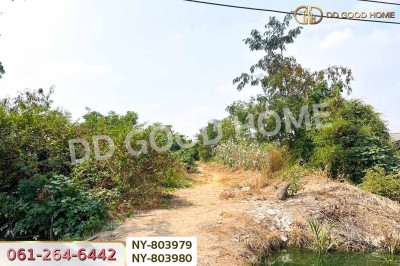 ที่ดินบ้านใหม่ 9 ไร่ 381 ตร.ว. ฉะเชิงเทรา ใกล้วัดป่าอนันตชัย