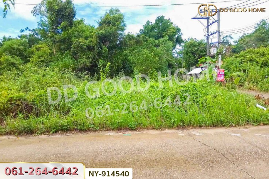 ที่ดินเมืองสระแก้ว 98 ตร.ว. สระแก้ว ใกล้ศาลเจ้ามูลนิธิธรรมสุขศิริ.-3