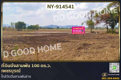 ที่ดินบึงสามพัน 100 ตร.ว. เพชรบูรณ์ ใกล้วัดบึงสามพันล่าง.-1