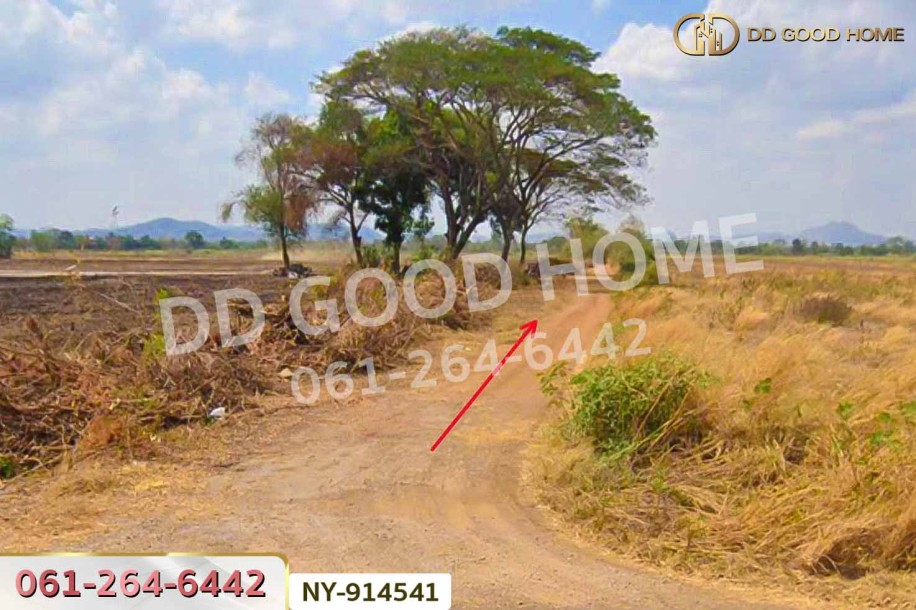 ที่ดินบึงสามพัน 100 ตร.ว. เพชรบูรณ์ ใกล้วัดบึงสามพันล่าง.-5