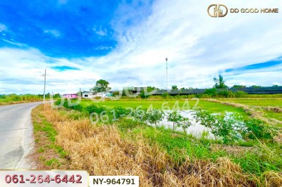 ที่ดินบ้านบึง 4 ไร่ ชลบุรี ใกล้ภิญโญฟาร์ม (เต้าหู้ไข่ไก่ตระกูลหยาง)-5