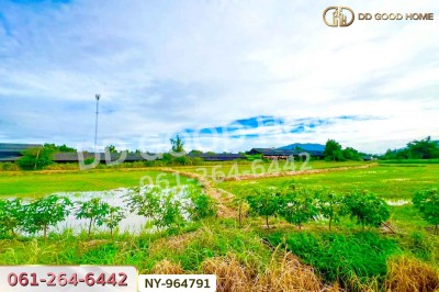 ที่ดินบ้านบึง 4 ไร่ ชลบุรี ใกล้ภิญโญฟาร์ม (เต้าหู้ไข่ไก่ตระกูลหยาง)-4