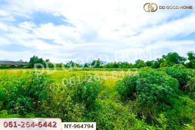 ที่ดินมาบไผ่ 10 ไร่ 391 ตร.ว. ชลบุรี ใกล้โรงเรียนนานาชาติเวลล์ส ชลบุรี