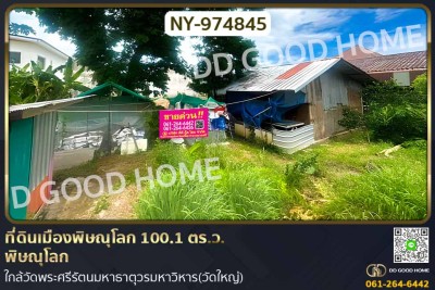 ที่ดินเมืองพิษณุโลก 100.1 ตร.ว. พิษณุโลก ใกล้วัดพระศรีรัตนมหาธาตุวรมหาวิหาร(วัดใหญ่)