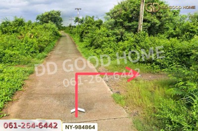 ที่ดินราชสาส์น 13 ไร่ 31ตร.ว. ฉะเชิงเทรา ใกล้ กศน.บางคา-3