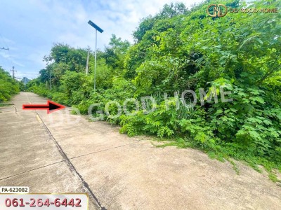 ที่ดิน ถ.เทศบาล 6 แยก 7 อ.แก่งคอย 403 ตร.ว. สระบุรี-3
