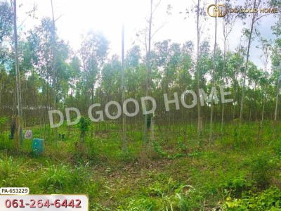 ที่ดินเมืองสระแก้ว 14 ไร่ 309.6 ตร.ว. ใกล้วัดบ้านเนินผาสุก