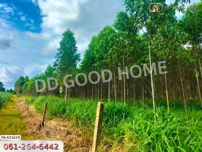 ที่ดินเมืองสระแก้ว 14 ไร่ 309.6 ตร.ว. ใกล้วัดบ้านเนินผาสุก