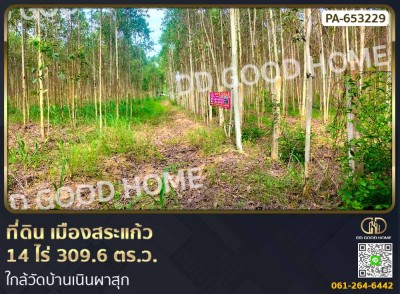 ที่ดินเมืองสระแก้ว 14 ไร่ 309.6 ตร.ว. ใกล้วัดบ้านเนินผาสุก