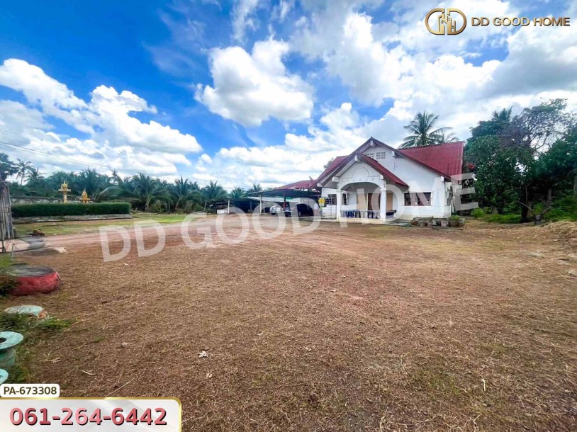ที่ดิน โพธาราม ราชบุรี 3 ไร่ 129 ตร.ว. ใกล้วัดเขาช่องพราน-10