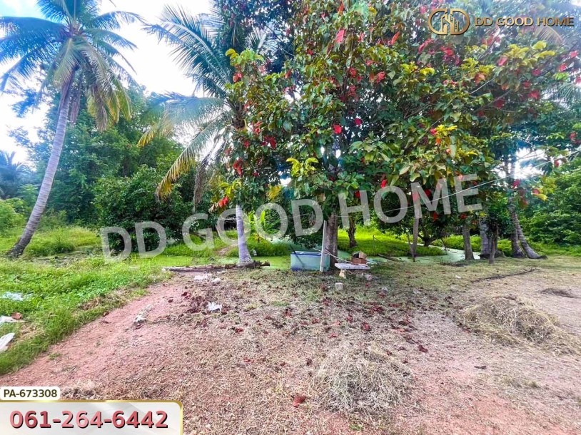 ที่ดิน โพธาราม ราชบุรี 3 ไร่ 129 ตร.ว. ใกล้วัดเขาช่องพราน-9