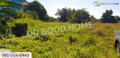 ที่ดินท่าช้าง 5 ไร่ 31.3 ตร.ว. สิงห์บุรี ใกล้โรงเรียนท่าช้างวิทยาคาร.