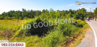 ที่ดินท่าช้าง 5 ไร่ 31.3 ตร.ว. สิงห์บุรี ใกล้โรงเรียนท่าช้างวิทยาคาร.