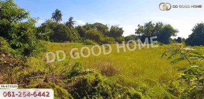 ที่ดินท่าช้าง 5 ไร่ 31.3 ตร.ว. สิงห์บุรี ใกล้โรงเรียนท่าช้างวิทยาคาร.