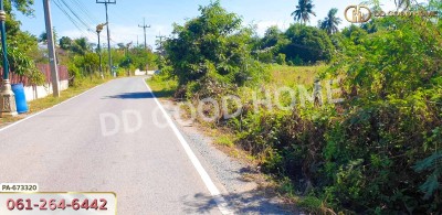 ที่ดินท่าช้าง 5 ไร่ 31.3 ตร.ว. สิงห์บุรี ใกล้โรงเรียนท่าช้างวิทยาคาร.