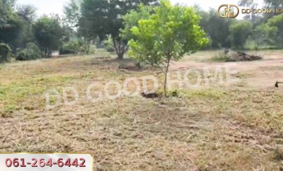 ที่ดินพนมสารคาม 2 ไร่ 220 ตร.ว. ฉะเชิงเทรา ใกล้วัดเกาะแก้วสุวรรณาราม-6