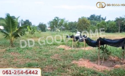 ที่ดินพนมสารคาม 2 ไร่ 220 ตร.ว. ฉะเชิงเทรา ใกล้วัดเกาะแก้วสุวรรณาราม-4