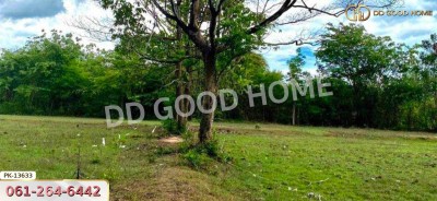 ที่ดิน อ.เขาย้อย 4 ไร่ 294 ตร.ว. เพชรบุรี-5