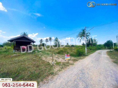 ที่ดิน อ.ท่ายาง 6 ไร่ ใกล้ วัดหนองโรง เพชรบุรี-3