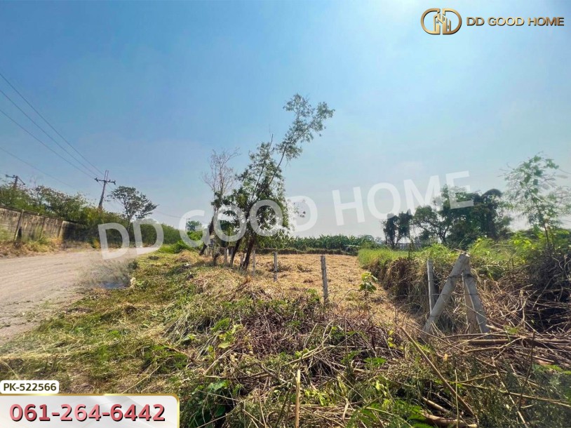 ที่ดิน เขตคลองสามวา 206 ตร.ว. สนามกอล์ฟเลกาซี่ ถ.ปัญญาอินทรา กรุงเทพฯ-2