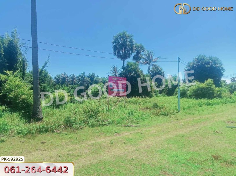 ที่ดิน ปราณบุรี 4 ไร่ ประจวบคีรีขันธ์-2