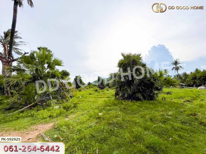 ที่ดิน ปราณบุรี 4 ไร่ ประจวบคีรีขันธ์-3