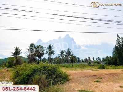 ที่ดิน ปราณบุรี 4 ไร่ ประจวบคีรีขันธ์
