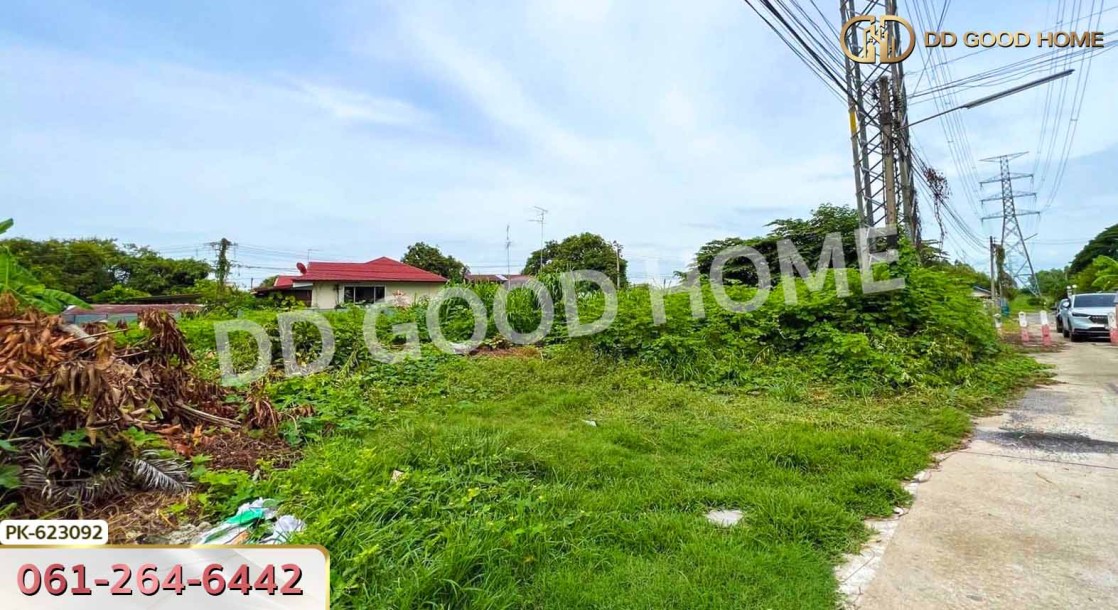ที่ดิน ป่าตาล 99 ตร.ว. ลพบุรี-3