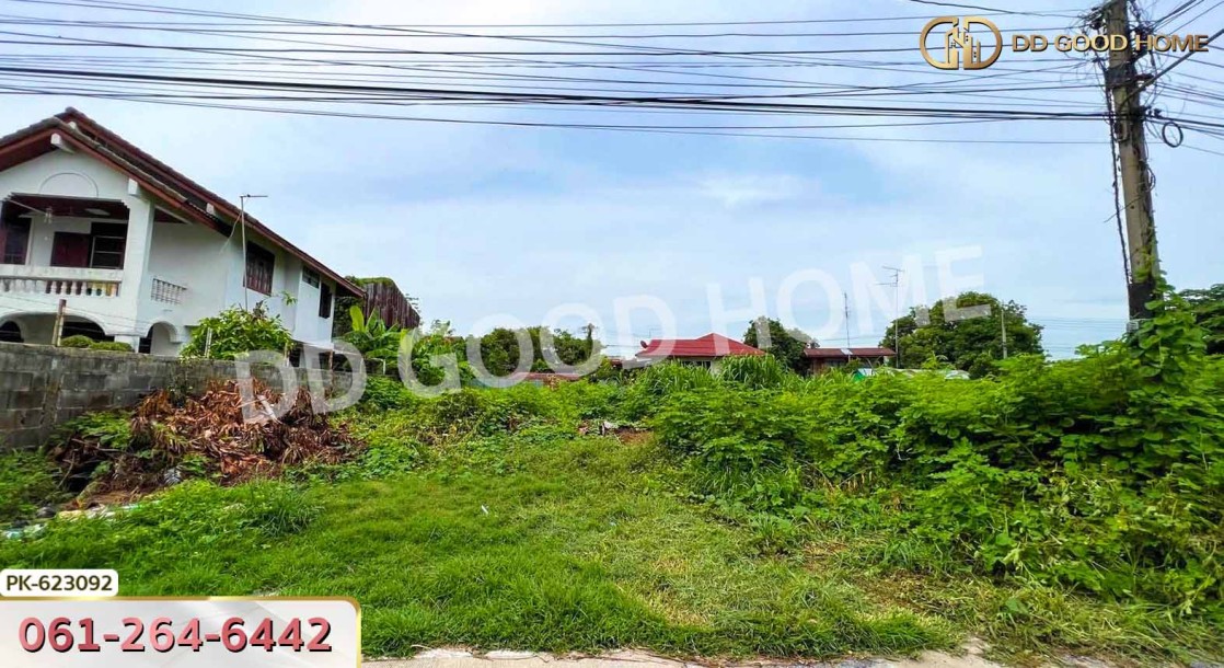 ที่ดิน ป่าตาล 99 ตร.ว. ลพบุรี-2