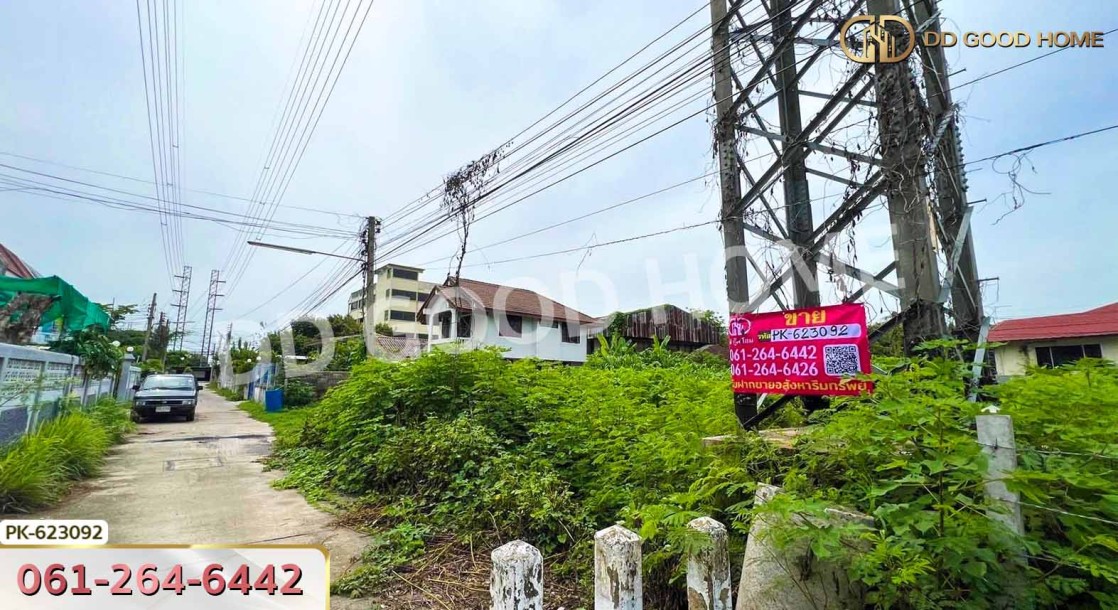 ที่ดิน ป่าตาล 99 ตร.ว. ลพบุรี-4