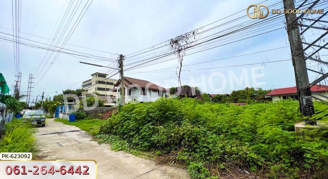 ที่ดิน ป่าตาล 99 ตร.ว. ลพบุรี-5