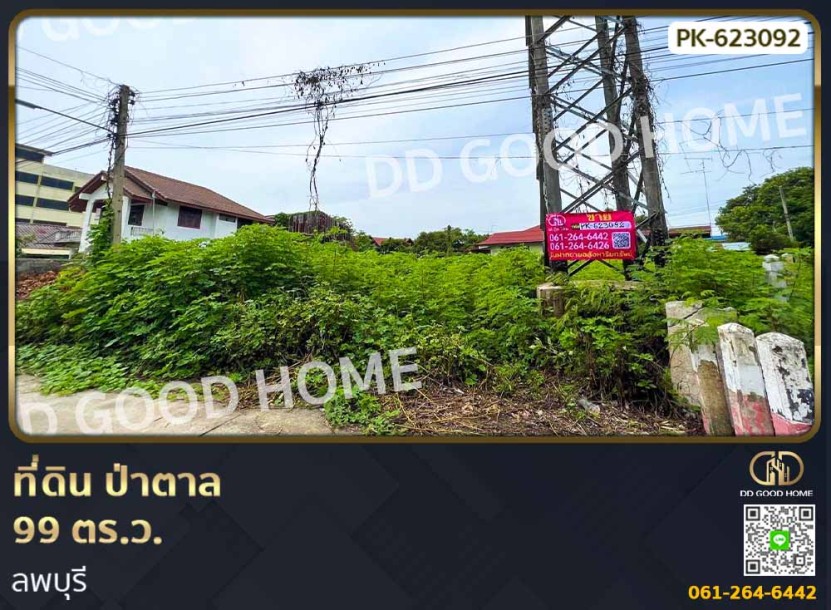ที่ดิน ป่าตาล 99 ตร.ว. ลพบุรี-1