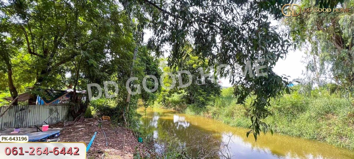 ที่ดินบ้านโพธ์ 1 ไร่ 125 ตร.ว. ฉะเชิงเทรา ใกล้วิทยาลัยเทคนิคจุฬาภรณ์-5