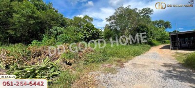 ที่ดินบ้านโพธ์ 1 ไร่ 125 ตร.ว. ฉะเชิงเทรา ใกล้วิทยาลัยเทคนิคจุฬาภรณ์