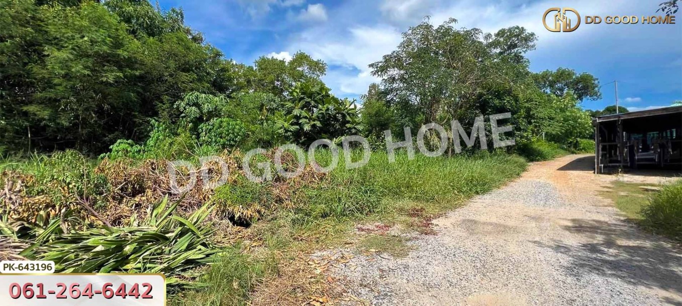 ที่ดินบ้านโพธ์ 1 ไร่ 125 ตร.ว. ฉะเชิงเทรา ใกล้วิทยาลัยเทคนิคจุฬาภรณ์-4