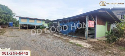 ที่ดินตะพานหิน 244.6 ตร.ว. พิจิตร ใกล้โรงพยาบาลส่งเสริมสุขภาพตำบลไผ่หลวง-3