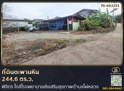 ที่ดินตะพานหิน 244.6 ตร.ว. พิจิตร ใกล้โรงพยาบาลส่งเสริมสุขภาพตำบลไผ่หลวง-1