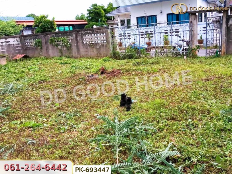 ที่ดินฝาง 260 ตร.ว. เชียงใหม่ ใกล้ตลาดหนองยาว-3