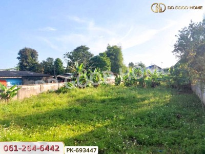ที่ดินฝาง 260 ตร.ว. เชียงใหม่ ใกล้ตลาดหนองยาว-2
