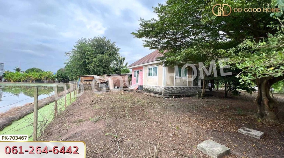 ที่ดินนครชัยศรี 219 ตร.ว. นครปฐม ใกล้โรงพยาบาลส่งเสริมสุขภาพตำบลมหาสวัสดิ์-8