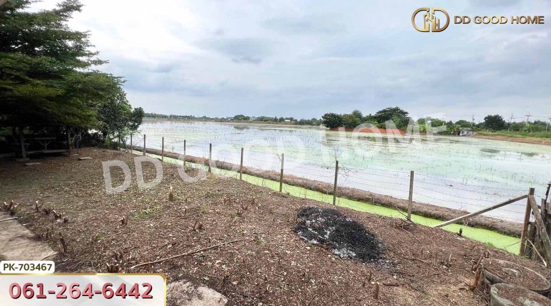 ที่ดินนครชัยศรี 219 ตร.ว. นครปฐม ใกล้โรงพยาบาลส่งเสริมสุขภาพตำบลมหาสวัสดิ์-6