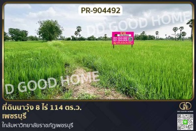ที่ดินนาวุ้ง 8 ไร่ 114 ตร.ว. เพชรบุรี ใกล้มหาวิทยาลัยราชภัฏเพชรบุรี
