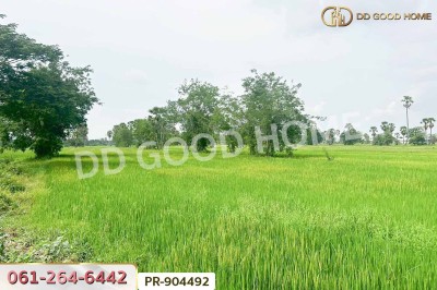 ที่ดินนาวุ้ง 8 ไร่ 114 ตร.ว. เพชรบุรี ใกล้มหาวิทยาลัยราชภัฏเพชรบุรี
