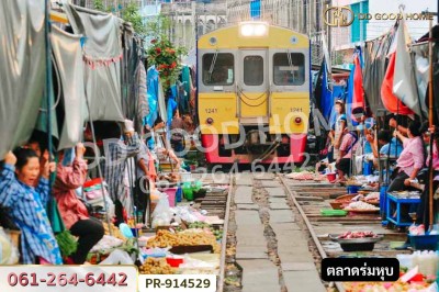 ที่ดินลาดใหญ่ 5 ไร่ 23 ตร.ว. สมุทรสงคราม ใกล้วัดลาดเป้ง-2