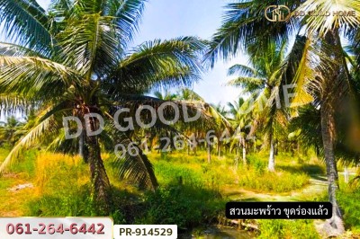ที่ดินลาดใหญ่ 5 ไร่ 23 ตร.ว. สมุทรสงคราม ใกล้วัดลาดเป้ง-10