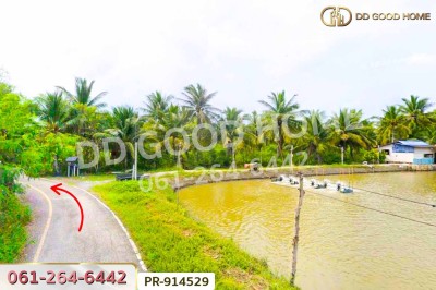 ที่ดินลาดใหญ่ 5 ไร่ 23 ตร.ว. สมุทรสงคราม ใกล้วัดลาดเป้ง-6